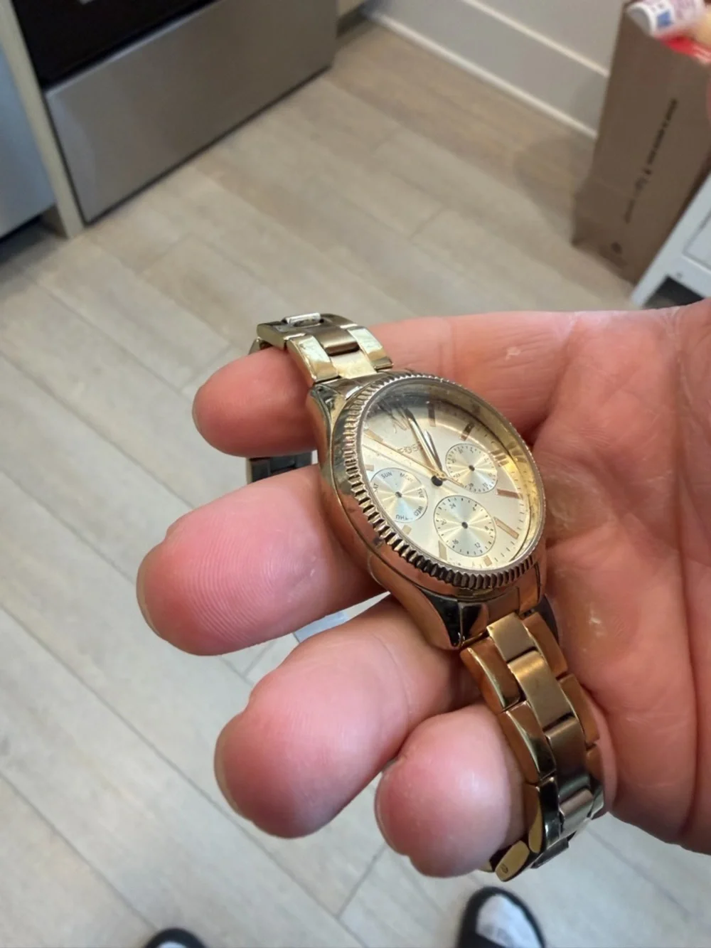 Fossil polished gold
